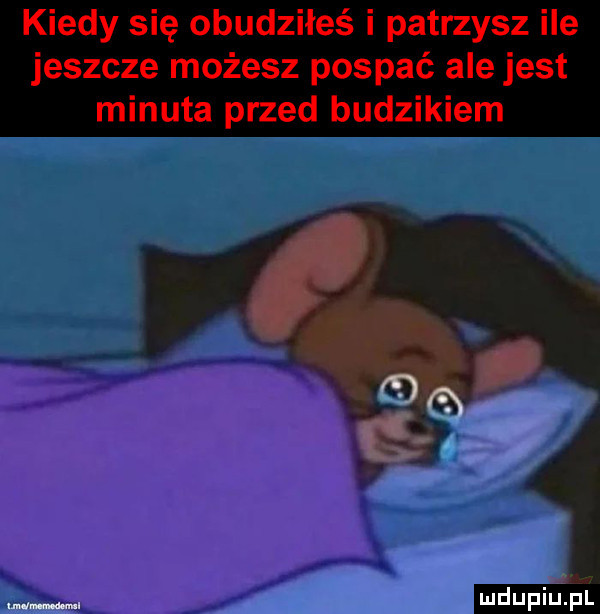 Obrazek