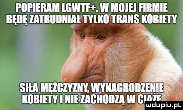 plii ieiiam gwtfł w miiiei fiiimie iięiię zatiiiiiiiiiahyiiiii tiiiiiis iiiibiety sci ii mężczyzn. wyiiiiiiiiiiiieiiie iiiibiei yi icie zaiiiiiiiiza iii gai lu iupiu. pl