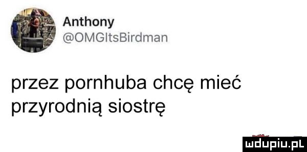 anthony omgitsbirdman przez pornhuba chcę mieć przyrodnią siostrę