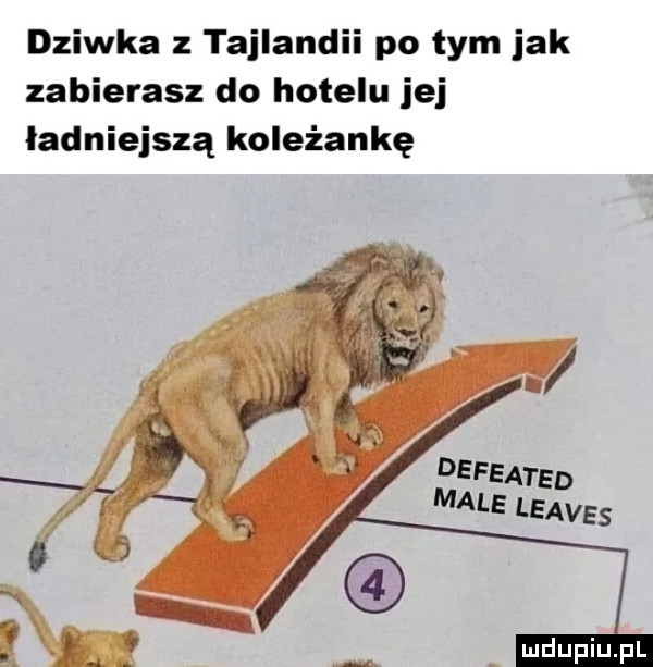 dziwka tajlandii po tym jak zabierasz do hotelu jej ładniejszą koleżankę