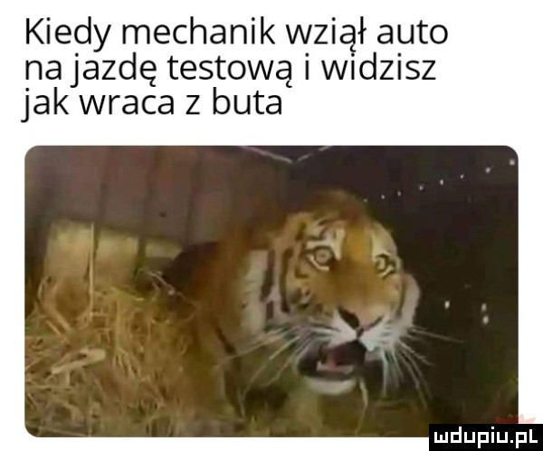 kiedy mechanik wziął auto na jazdę testową i widzisz jak wraca z buta