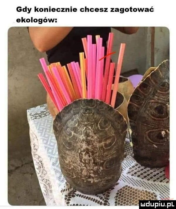 gdy koniecznie chcesz zagotować ekologów