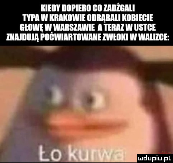 ileily iiiii ieiiii ell mami i yi i i mam iiiimiiii llllllegie głowę w wmsiiwie i term   ihs ige liiaiiliila piibwiiii i iiwiiie mam w mine