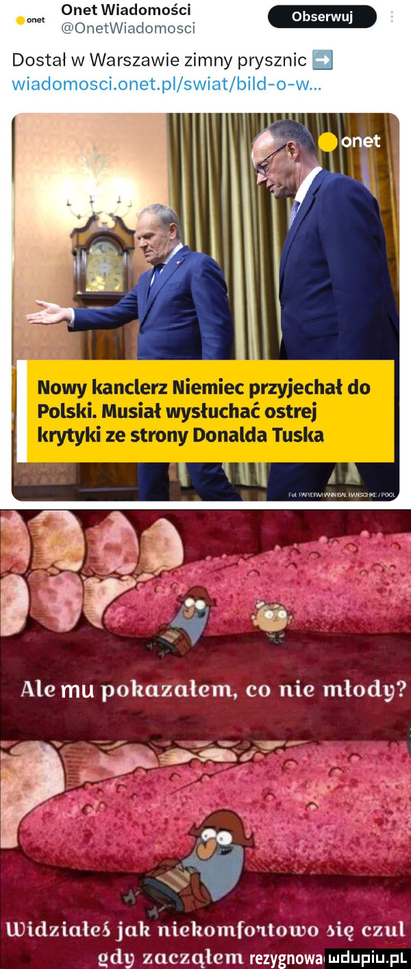 widziałeś jak niekomfo ulwo adę czul gdy zacząłem rezygnowawmdupiupl