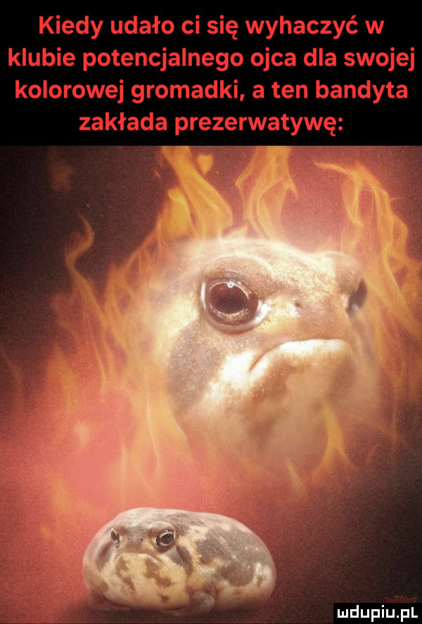 kiedy udało ci się wyhaczyć w klubie potencjalnego ojca dla swojej kolorowej gromadki a ten bandyta zakłada prezerwatywę