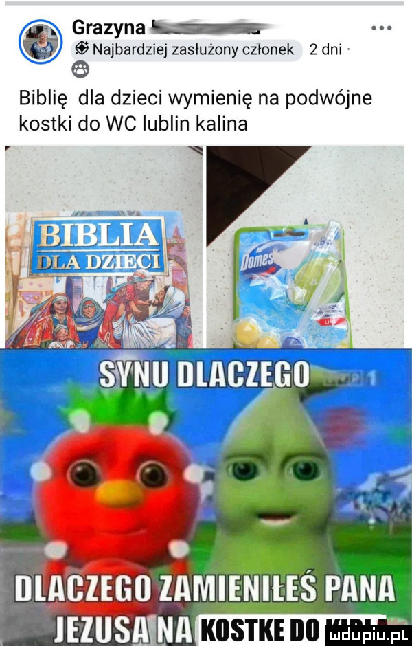 grazyna lm najbardziej zasluźony czlonek   dni biblię dla dzieci wymienię na podwójne kostki do wc lublin kalina laszego lamieniłeś pana leliisa na kiistke nu muapmi p