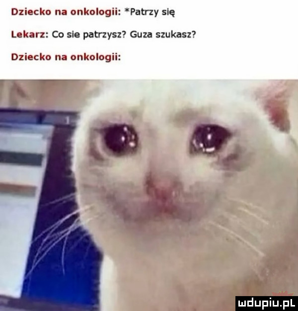 dziecko na onkologii patrzy się lekan   co sle patrzysz  guza szukasz dziecko na onkologii x ﬁﬂ hsg