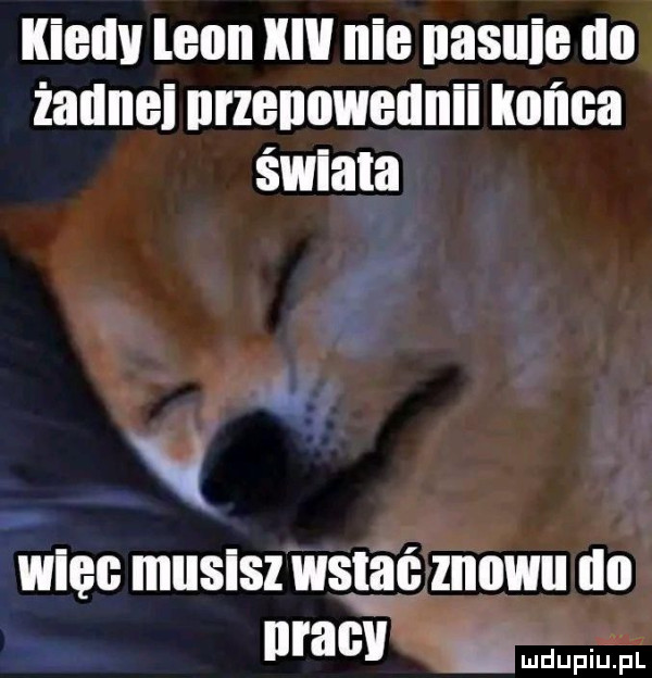 i   więc musisz wstaę zsuwu do ma. m