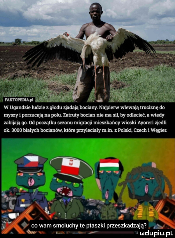 kakumei i. abakankami. a w ugandzie ludzie z głodu zjadają bociany. najpierw wlewają truciznę do myszy i porzucają na polu zatruty bocian nie ma sil. by odlecieć a wtedy zabijają gc  d początku sezonu migracji mieszkańcy wioski ayumń zjedli ok anno bialych bocianów które przyleciały mm z polski czech i węgien i co wam smoluchy te ptaszki przeszkadzają   ui upiu pl