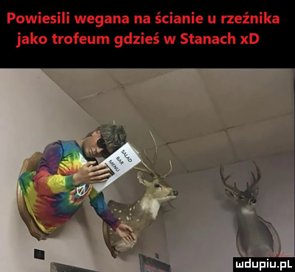 powiesili wegaba na ścianie u rzeźnika jako trofeum gdzieś w stanach xd