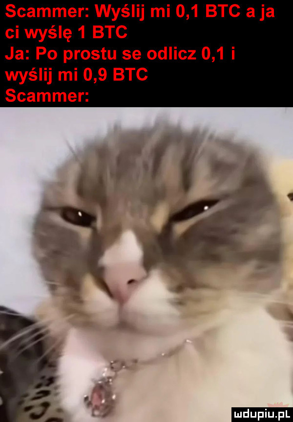 spammer wyślij mi     btc a ja ci wyślę   btc ja po prestu se odlicz     i wyślij mi     btc spammer ludu iu. l