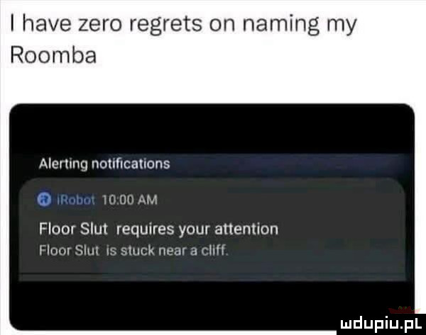 i hace zero regrets on naming my roomba alemnq nouhcanons m uu am fluor smut requires your attention ham smut. słuck nin rh