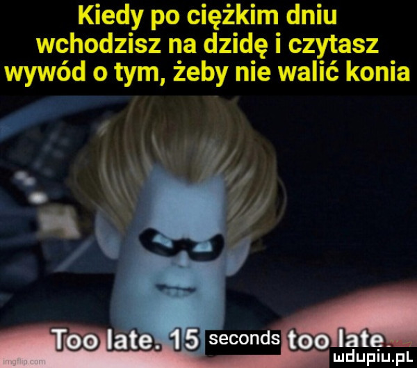 kiedy po ciężkim dniu wchodzisz na dzidę i czytasz wywód o tym żeby nie walić konia ludupilij