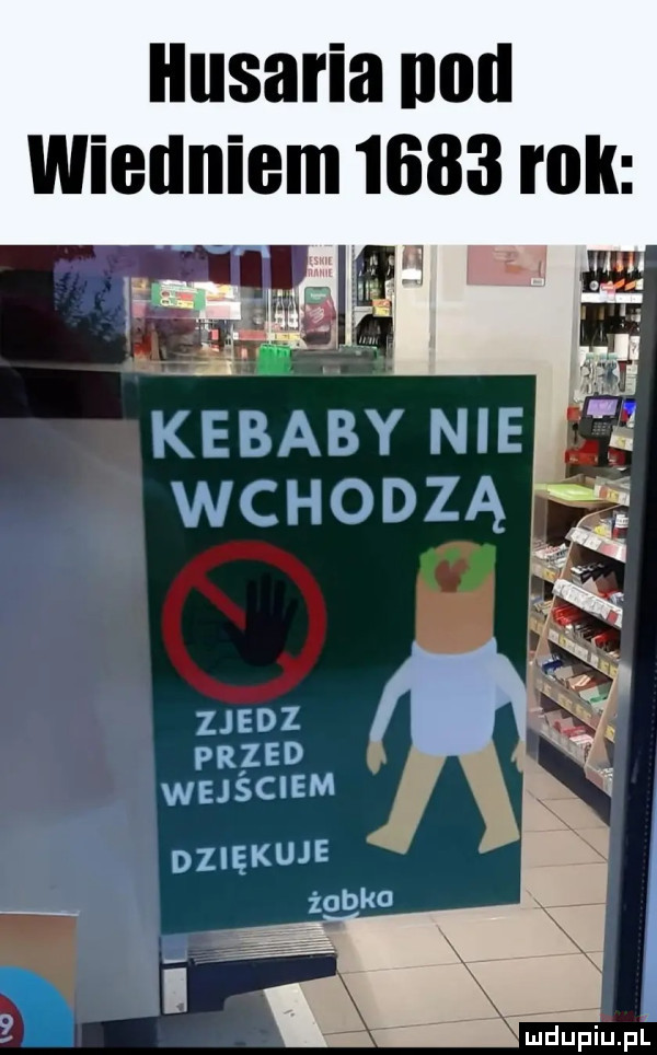 ilusaria mul wiedniem      rok