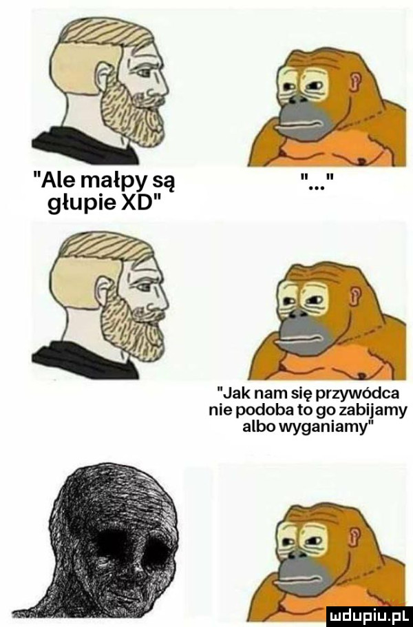 ale małpy są głupie xd jak nam się przywódca nie podoba to go zabijamy albo wyganiamy
