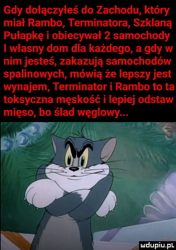 gdy dołączyłeś do zachodu który miał rambo terminatora szklaną pułapkę i obiecywał   samochody własny dom dla każdego a gdy w nim jesteś zakazują samochodów spalinowych mówią że lepszy jest wynajem terminator i rambo to ta toksyczna męskość i lepiej odstaw mięso bo ślad węglowy