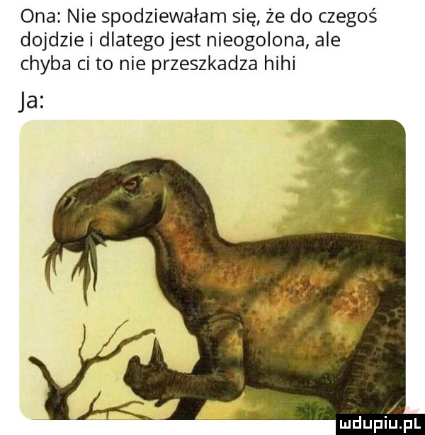ona nie spodziewałam się że do czegoś dojdzie i dlategojest nieogolone ale chyba ci to nie przeszkadza hihi ja mdupiprl