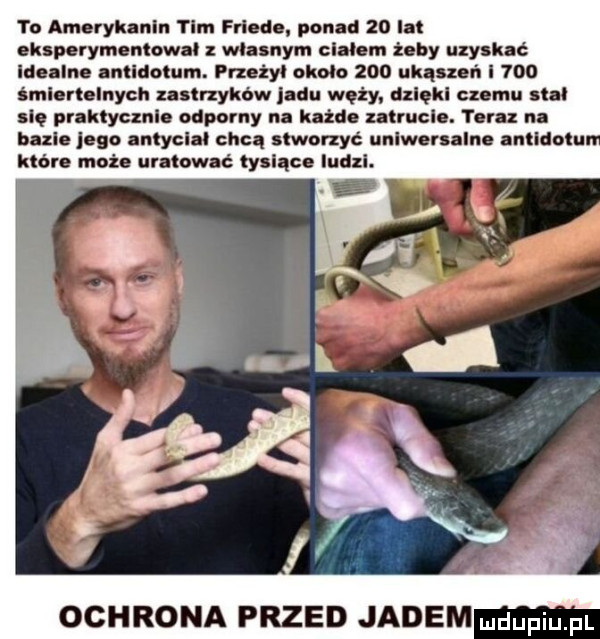 to amarykanln tim frieda. ponad    lat aklparymaniowai z własnym claiam żaby uzyskać idealna antidotum. putty. około     ukąszeń i     ici rudnych zastrzyków jadu wazy dziaki czemu abai się praktycznla odporny na każda zatrucia. teraz na bazie jego antyelai chca stworzyć unlwarsalno antydotu które moza uratować place ludzi. ochrona przed jadem