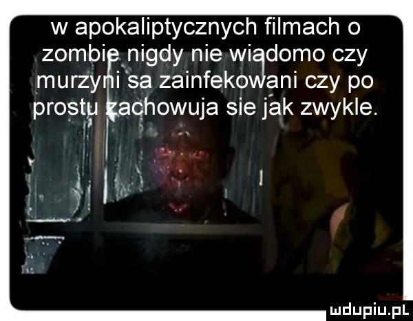 w apokaliptycznych filmach o zombi xnigdy nie wi damo czy murzy isa zainfeko ani czy po prestu qhowuja sie jak zwykle