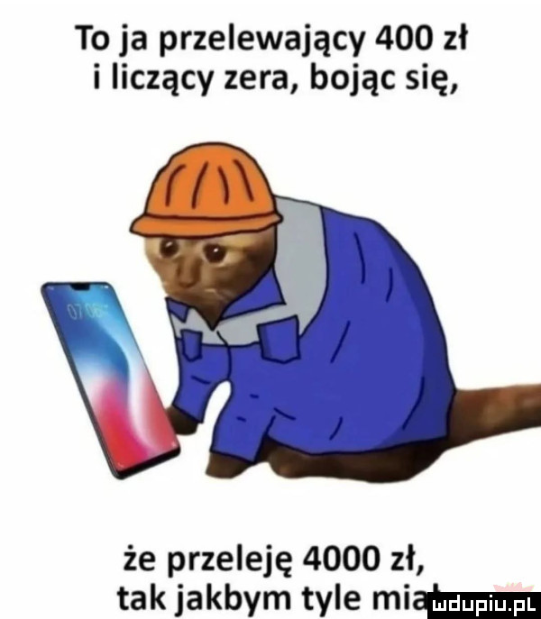 to ja przelewający     zł i liczący zera bojąc się że przeleję      zł tak jakbym tyle mew