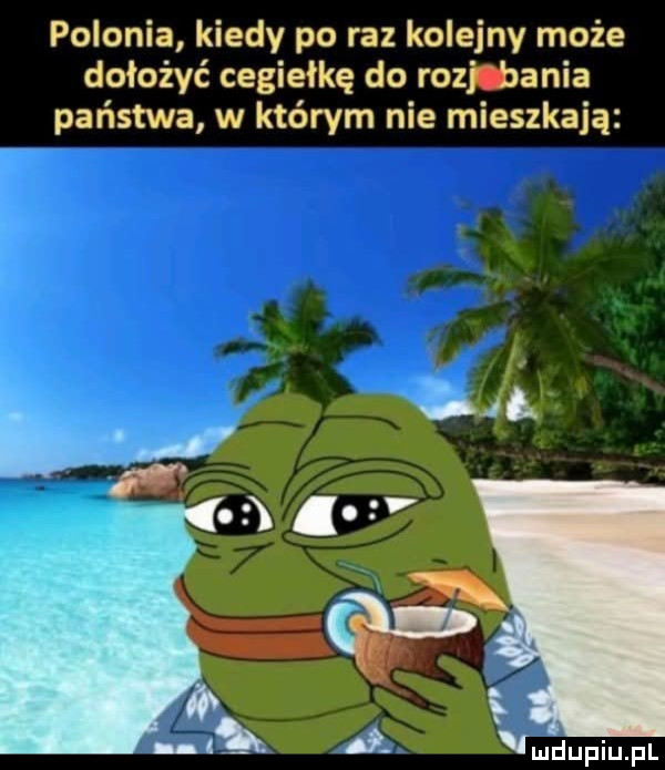 polonia kiedy po raz kolejny może dołożyć cegiełkę do rozdania państwa w którym nie mieszkają