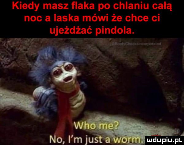 kiedy masz flaka po chlaniu całą noc a laska mówi że chce ci ujeżdżać pindola