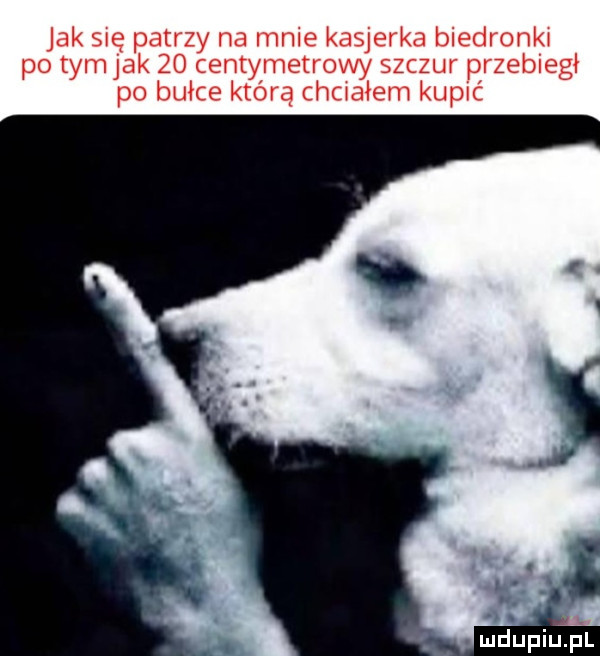 jak się patrzy nagnie kasjerka biedronk po tym jak    centymetrowy szczur przebiegł po bułce która chorałem kupić