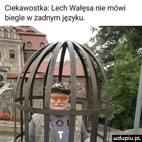 ciekawostka lech wałęsa nie mówi biegle w żadnym języku. abakankami m. thduapiupl