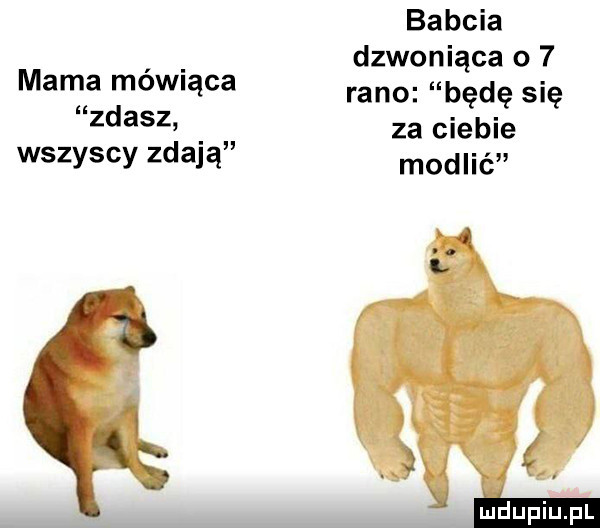 babcia dzwoniąca o   mama mow ąca rano będę się zdasz za ciebie wszyscy zdają modlić