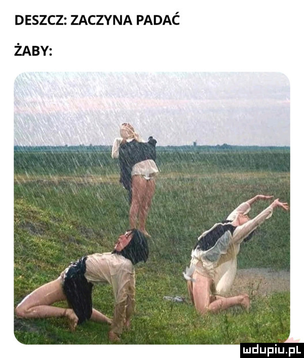 deszcz zaczyna padać żaby