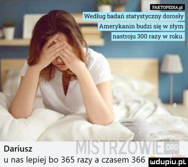 faktopedia pl dariusz u nas lepiej bo     razy a czasem