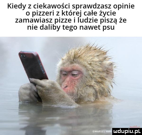 kiedy z ciekawości sprawdzasz opinie o pizzeri z której całe życie zamawiasz pizze i ludzie piszą że nie daliby tego nawet psu i