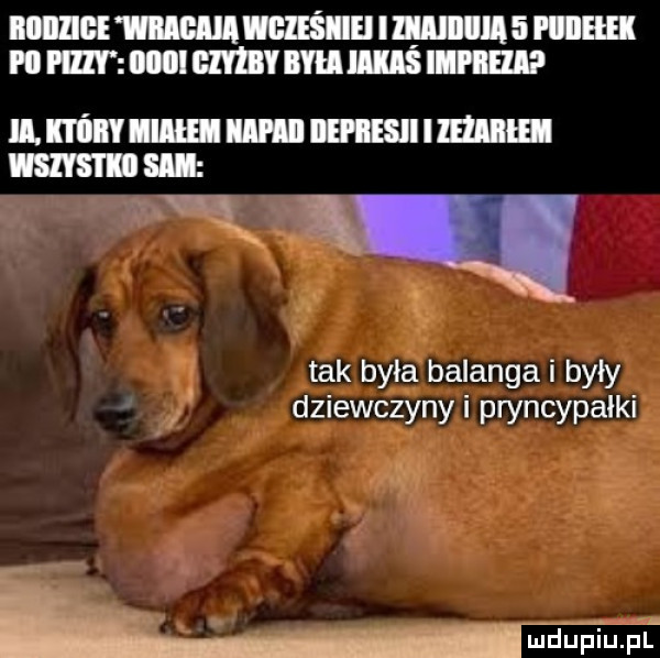 iiiiiiiibe m wieśiiei imei   i iiieei i ll hiat iiiiii mm i ll ills imei mmnumurmmmumul vmmmsu mi tak był balanga i były dziewczynki pryncypalki aw