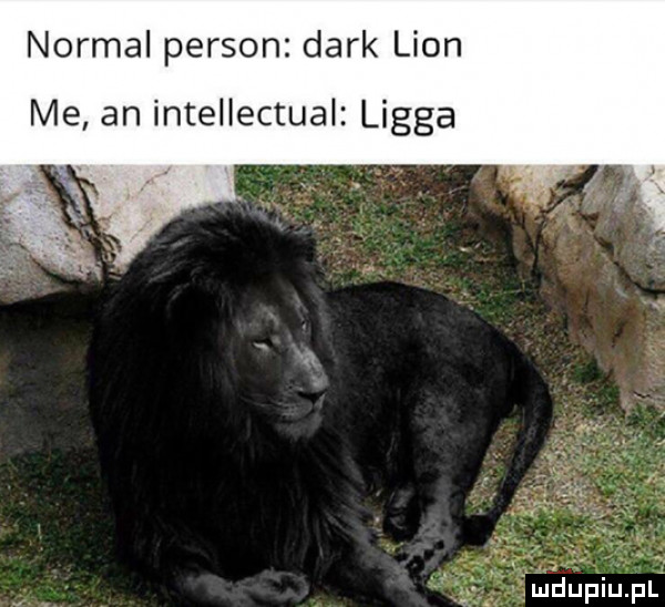 normal person dirk lion me an intellectual linga a. mlﬂupiupl