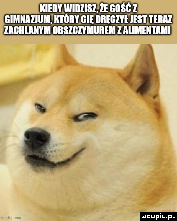 iieiiy wiiilisl. że egśg z lillllllllllllynlll gnę iiiiegiyi insi jeiiiz llﬂllﬂlllﬂl iibsigiyiiiiiieii laliileiii agi ludu iu. l