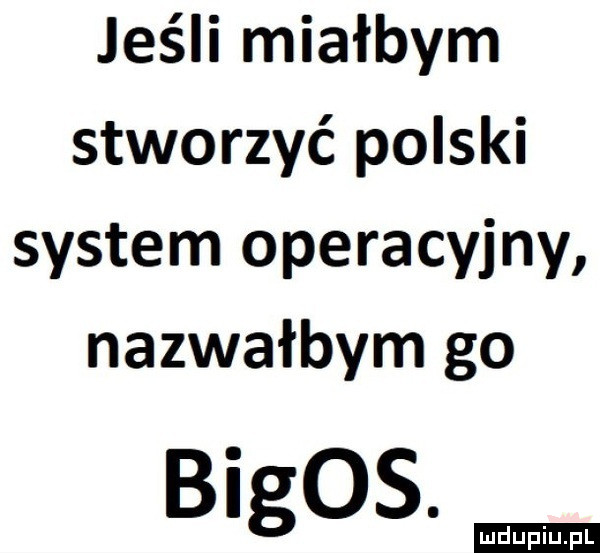 jeśli miałbym stworzyć polski system operacyjny nazwałbym go bigos. ludu iu. l