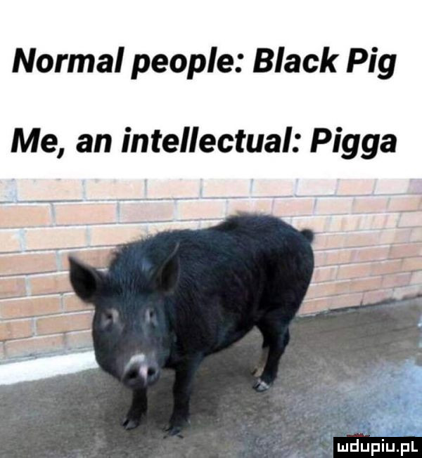 normal people black pbg me an intellectual piega