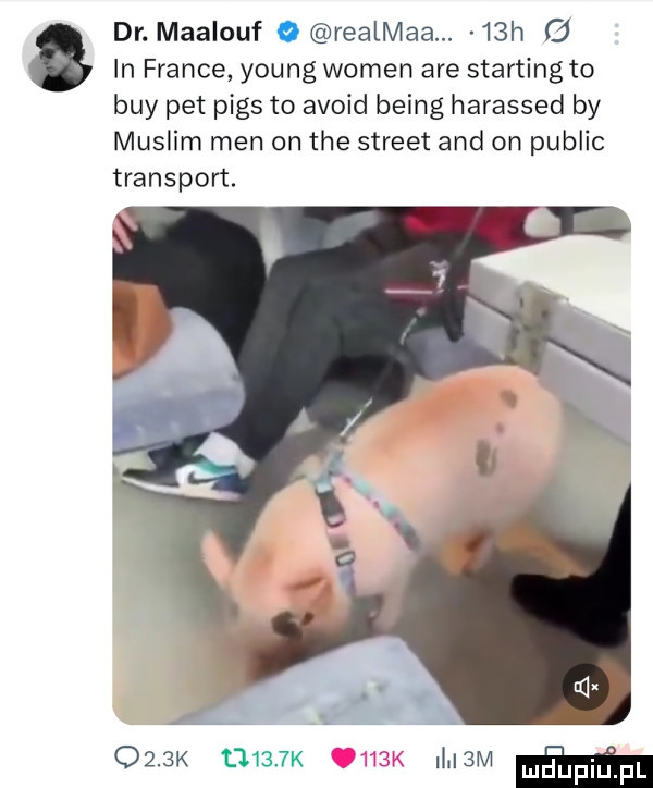 dr. maalouf o realmaa.   h   in france young wojen are storting to boy pet pias to avoid being harassed by muslim men on tee street and on pudlic transport.     k      k i  m