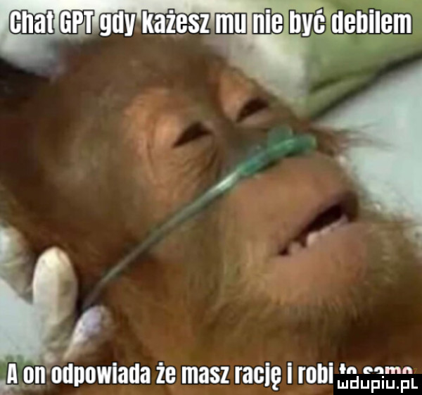 il lonndnnwlaua że masz radlę i rohl gg gam
