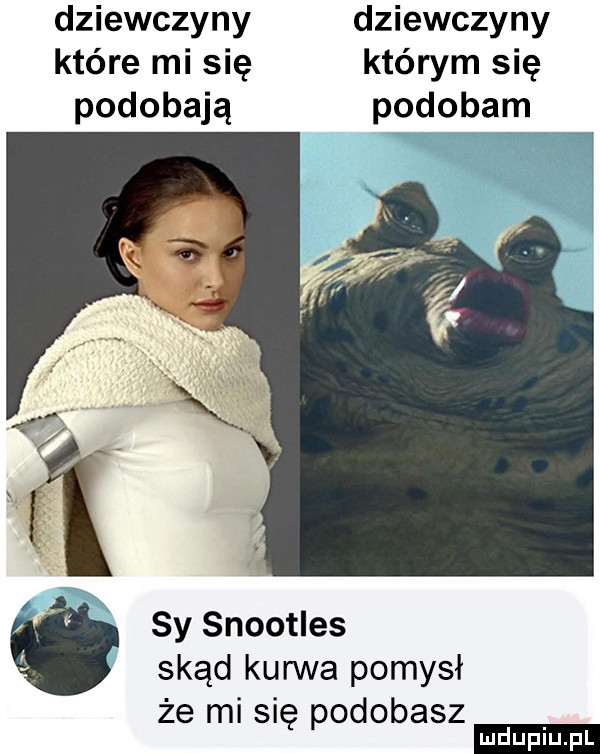 dziewczyny dziewczyny które mi się którym się podobają sy snootles skąd kurwa pomysł że mi się podobasz