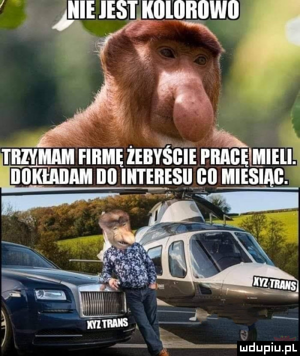 Obrazek