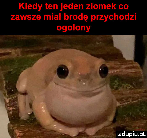 Obrazek
