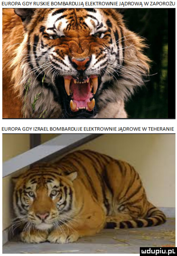 gd ruck e bombardują elektrowphe jądrcw a porozu europa gd riel bombarduje elektrowme jądrowe w teherame mduﬁiupl
