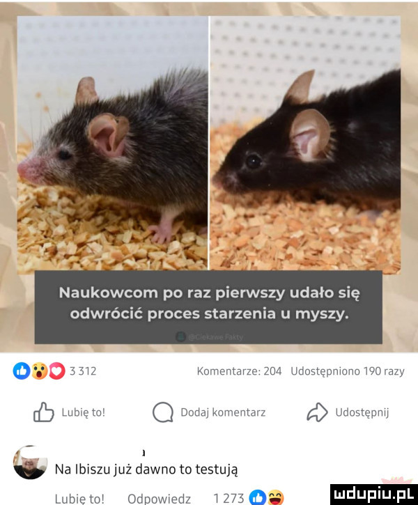 naukowcom po raz pierwszy udało się odwrócić proces starzenia u myszy. z     komar tmzc zm unnatcnmnna m a    dcom kmnmwn   mwmw. a na ibiszu już dawno to testują lulmetu odpowiedz       i jf j f