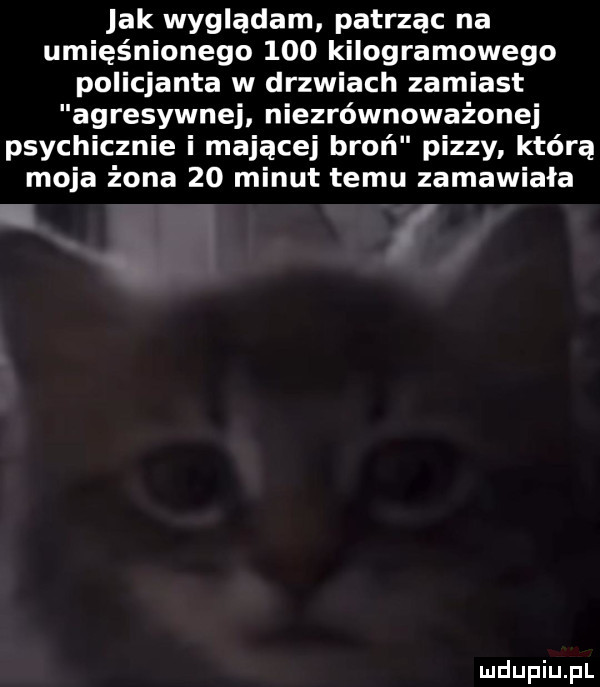 jak wyglądam patrząc na umięśnionego     kilogramowego policjanta w drzwiach zamiast agresywnej niezrównoważonej psychicznie i mającej broń pizzy którą moja żona    minut temu zamawiała