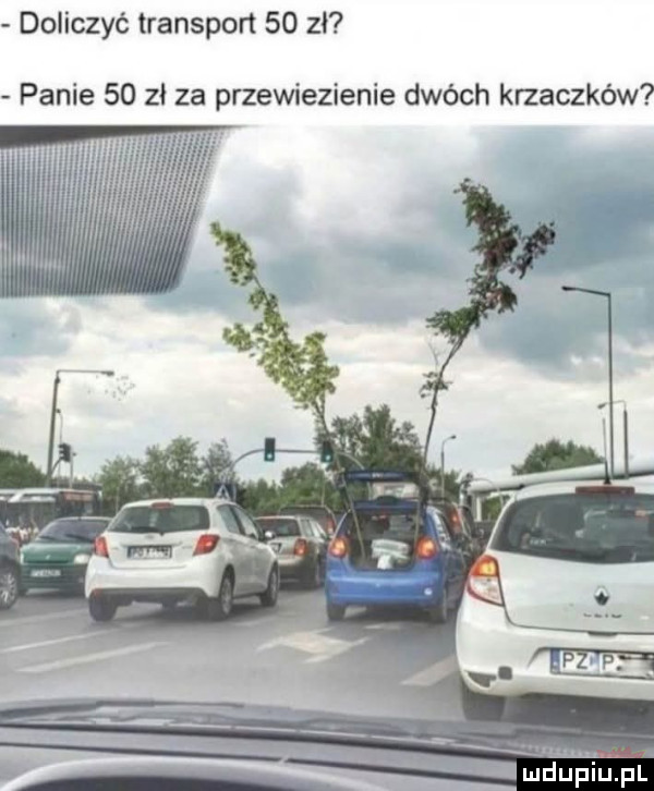 doliczyć transport    zł panie    zł za przewiezienie dwóch krzaczków mdupilij