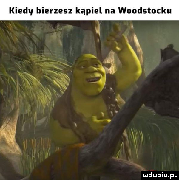 kiedy bierzesz kąpiel na woodstocku   v nb