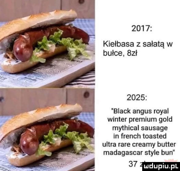 kiełbasa z sałatą w bułce. sał      black argus robal winter premium gold mythical sausage in french toasted ultra rabe creamy buster madagaskar style bun   mm