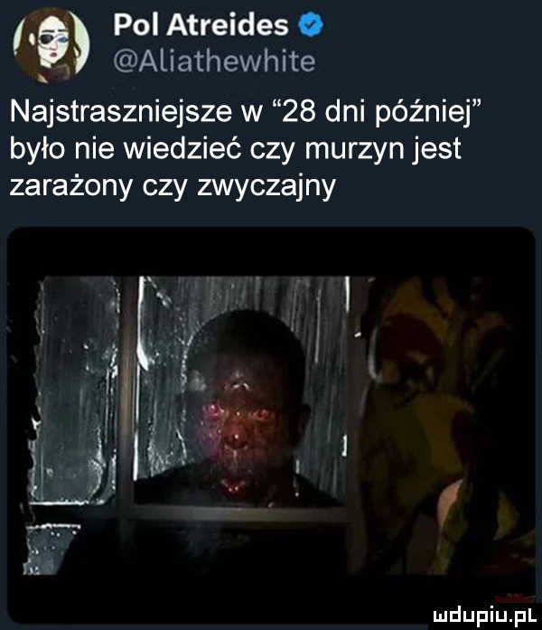 na pol atreideso aliathewhite najstraszniejsze w    dni później było nie wiedzieć czy murzyn jest zarażony czy zwyczajny
