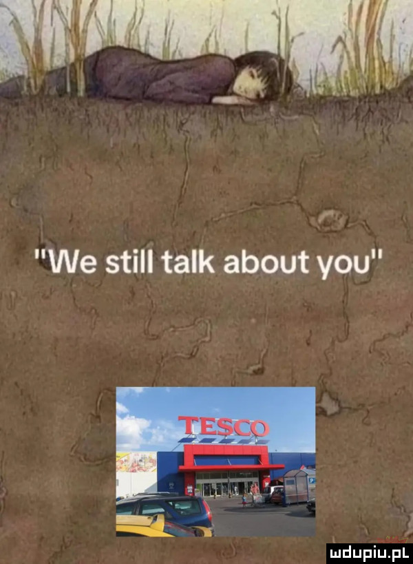 we stall talk abort y-u